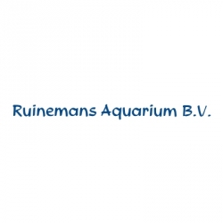 ruinemans